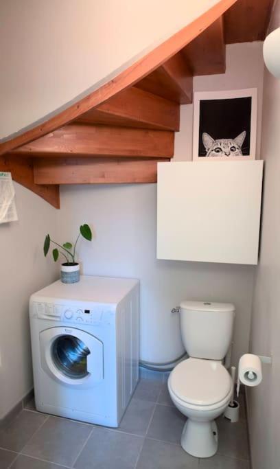 Maison Calme Avec Jardin Proche De Toulouse Ngoại thất bức ảnh