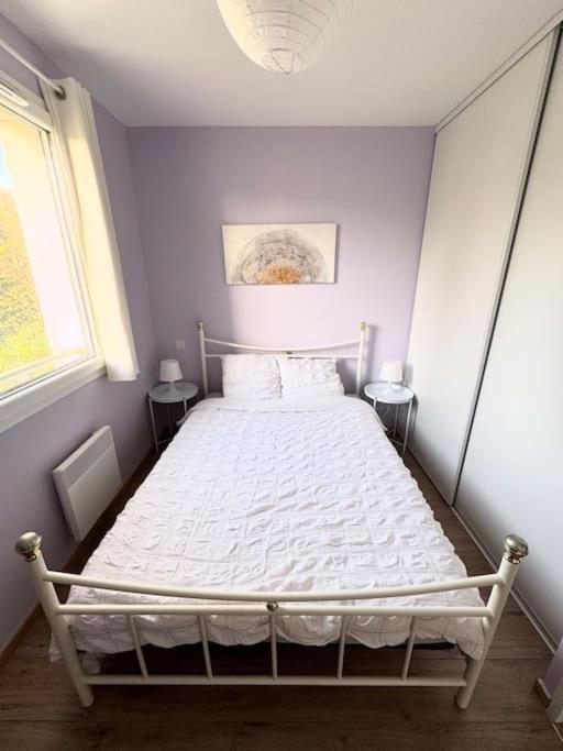 Maison Calme Avec Jardin Proche De Toulouse Ngoại thất bức ảnh